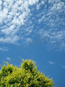 陵园风光白天蓝天绿树烈士陵园里美丽风景摄影图配图