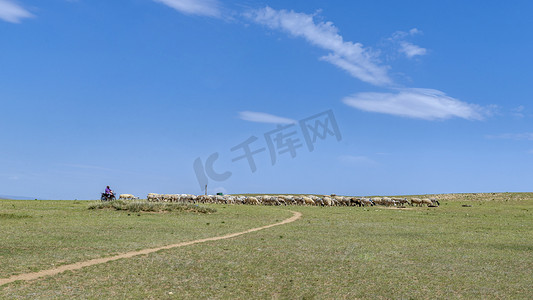 草原放牧下午羊群夏季素材摄影图配图