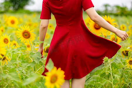 向日葵夏天红裙子花海赏花摄影图配图
