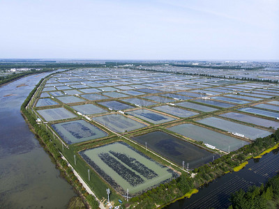 河道摄影照片_航拍晴天田园垛田河道摄影图配图