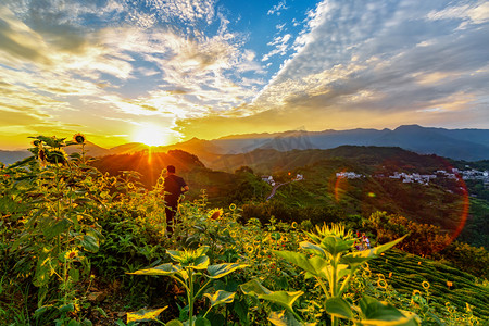 日出早晨向日葵山区站立摄影图配图