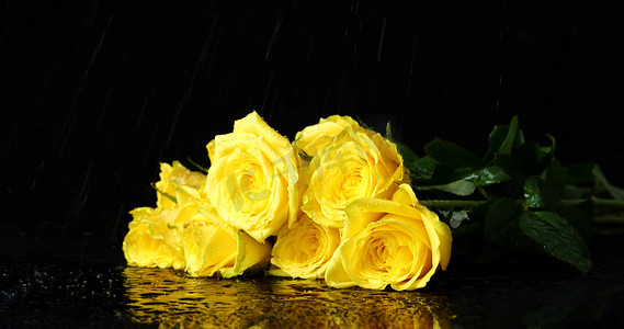 广告黄色摄影照片_玫瑰花黄色玫瑰浪漫鲜花