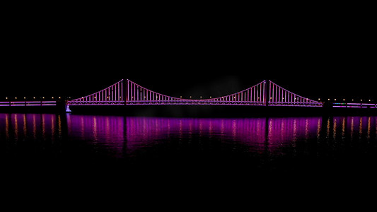 紫色灯光摄影照片_高画质航拍星海湾大桥夜景灯光秀紫色