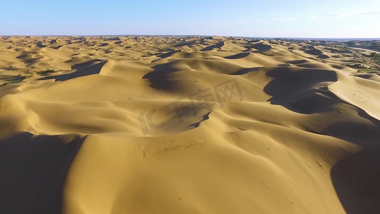 金黄的硕果摄影照片_新疆塔克拉玛干沙漠航拍摄影图