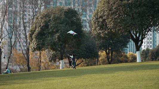 小朋友在草坪上奔跑放风筝