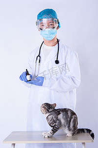 宠物看病摄影照片_医生和猫白天男医生和猫室内展示产品摄影图配图