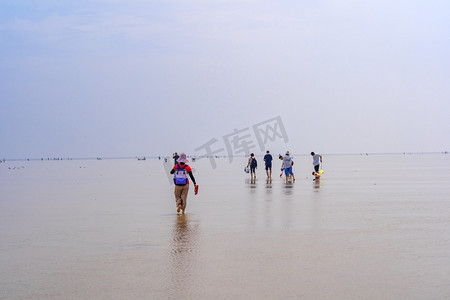 夏季在海边游玩拾贝的人群摄影图配图