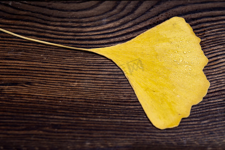 秋天一片落在木板上的银杏叶摄影图配图