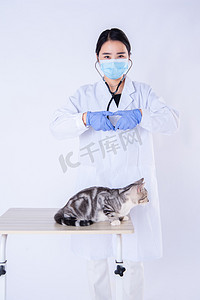 医生和动物摄影照片_医生和猫白天宠物医生在室内比心手势摄影图配图