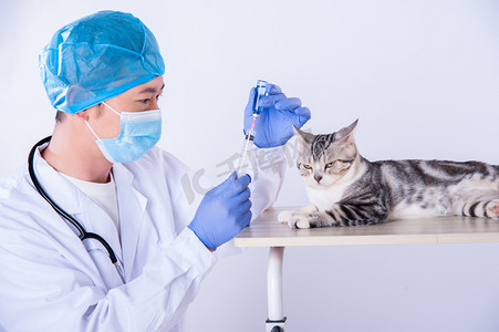 宠物看病摄影照片_医生和猫白天男医生和猫室内吸药准备打针摄影图配图