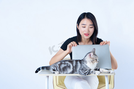 休闲商务白天美女与猫办公室关电脑看猫摄影图配图
