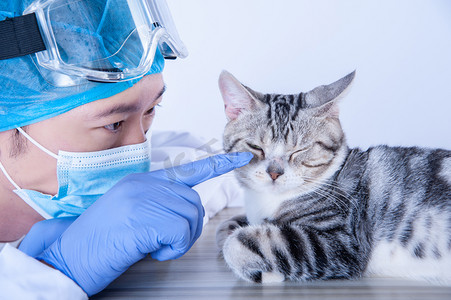 猫兽医摄影照片_医生和猫白天男医生和猫室内手指小猫眼睛摄影图配图