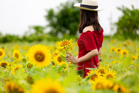 美女花摄影照片_向日葵夏天花朵花海赏花摄影图配图