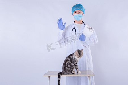 医生和猫白天男医生和猫室内举手掌心向前摄影图配图