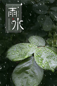 春日小清新绿色雨水节气背景