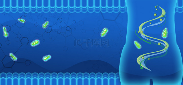 肠胃吸收好背景图片_肠道健康医学蓝色