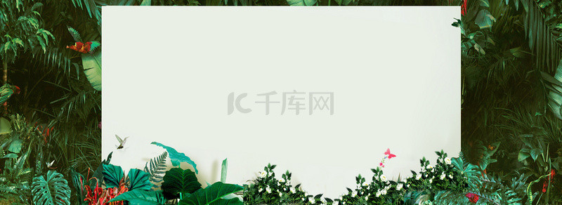 绿色蝴蝶背景背景图片_绿色森林植物banner海报背景