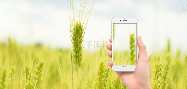 绿色农业科技背景图片_农业科技农田绿色渐变科技背景