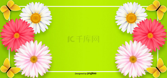 绿色花朵蝴蝶背景图片_绿色渐变春天植物自然花朵蝴蝶背景