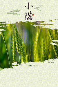 绿色、麦穗背景图片_绿色麦穗小满节气海报