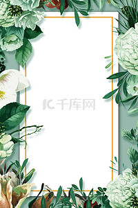热带植背景图片_清新春天绿植边框