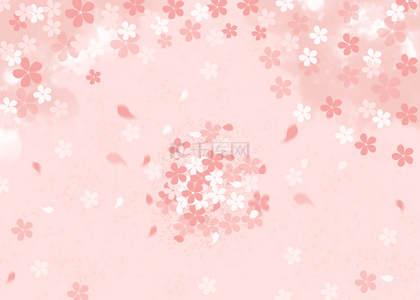 粉色白色樱花飘舞散落