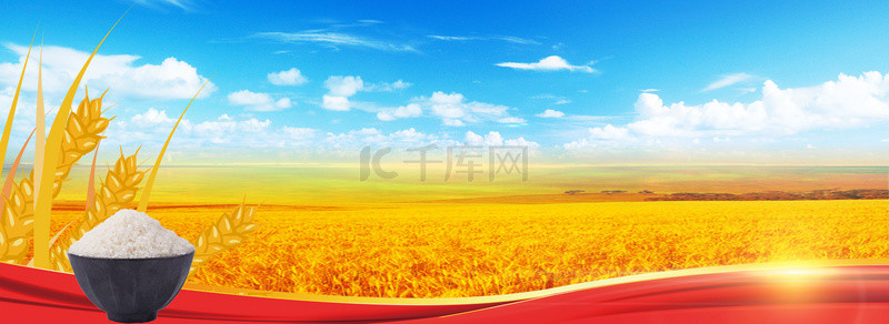 水稻png背景图片_农业丰收耕种农民劳动海报背景