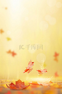 枫叶十月背景图片_24节气秋分背景海报