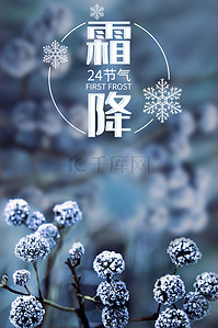 24节气霜降背景图片_霜降24节气传统节气白霜雪花背景