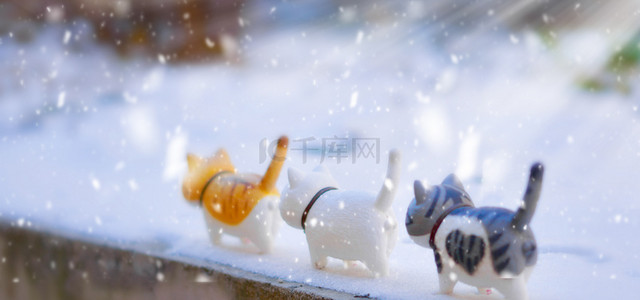 下雪猫背景图片_简约二十四节气立冬背景