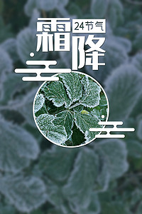 霜降24节气背景图片_霜降24节气海报传统节气背景