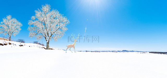 小雪树背景图片_简约小雪传统节气背景