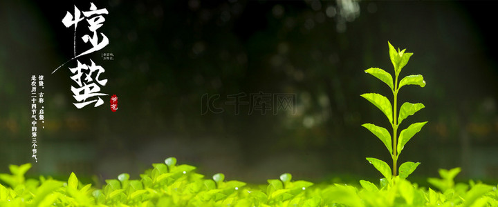 24节气背景图片_惊蛰节气二十四节气清新海报背景