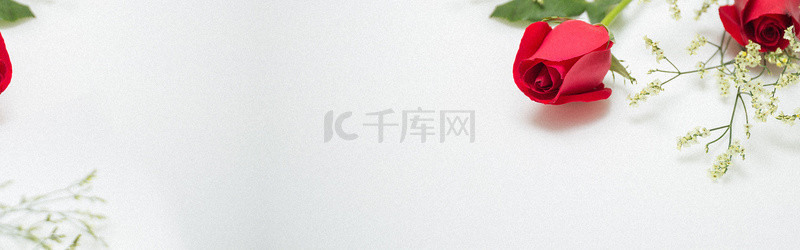 情人节玫瑰花创意海报背景