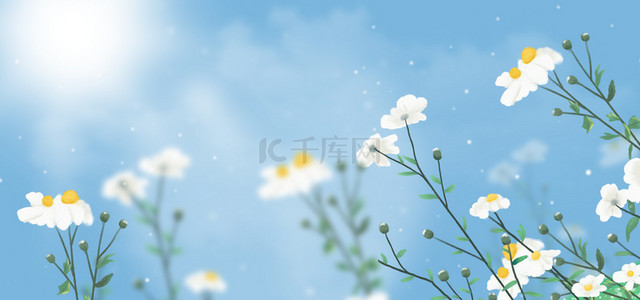 蓝色花卉清新春季背景图片_春天花卉蓝色清新