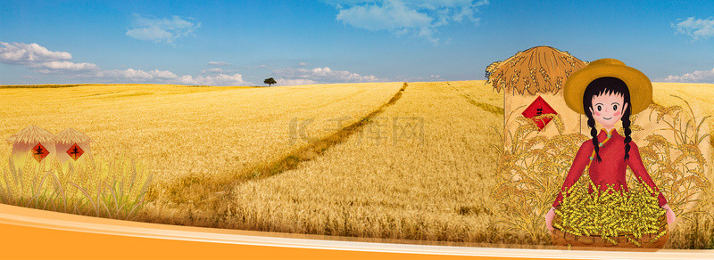 金色稻谷背景图片_丰收麦田金色农业背景