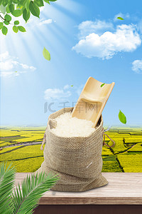 食堂单页大米背景图片_绿色健康有机大米食品超市水稻海报