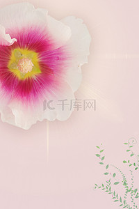 护肤品海报粉色背景图片_小清新粉色护肤品海报