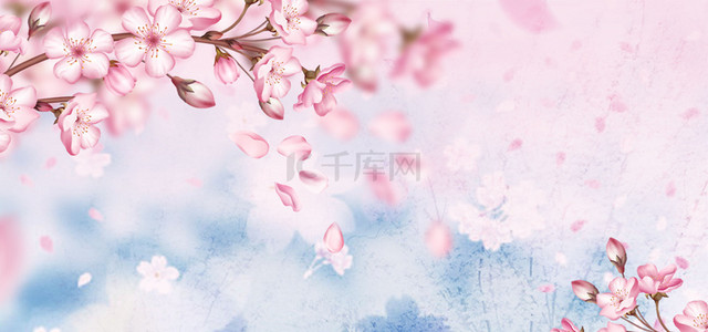 花卉粉色背景图片_春天樱花花卉粉色