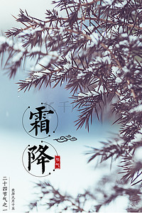 小雪唯美背景图片_霜降二十四节气之一唯美松树海报