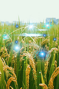 农业科技背景图片_农业科技农田渐变科技背景