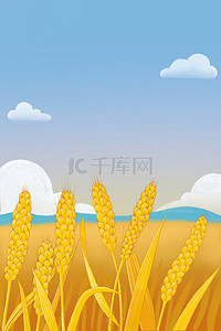 二十四节气之芒种麦穗广告背景