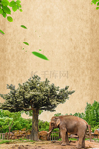 草原旅行背景图片_非洲大象旅行草原海报背景