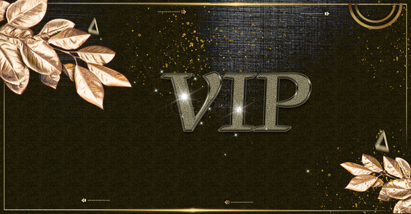 vip卡背景