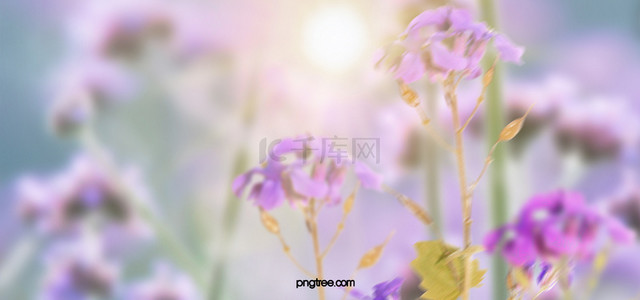 花背景紫色背景图片_紫色创意纹理花背景