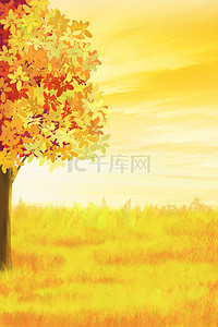 秋天节日背景图背景图片_立秋秋天黄叶黄色