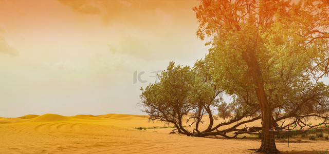 绿色地球背景素材背景图片_治理沙漠防治干旱背景素材
