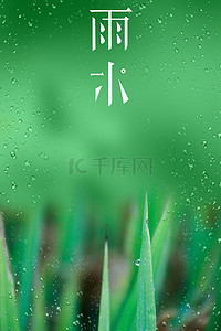 绿色简约雨水节气海报背景