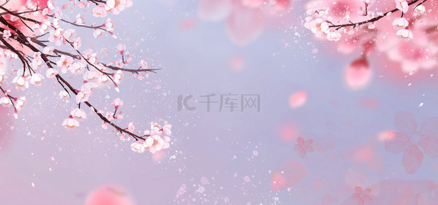 春天樱花花卉粉色