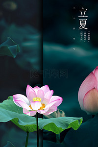 立夏清新海报背景图片_立夏传统节气清新海报背景